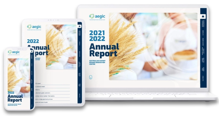 Annual Report Designs