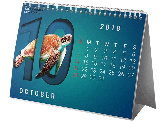 Calendars Designing Agency