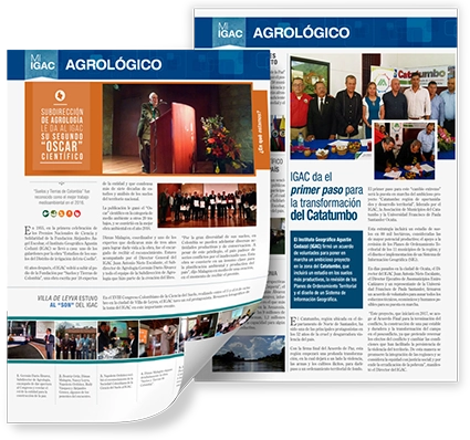 Newsletter Designs Company In Dubai